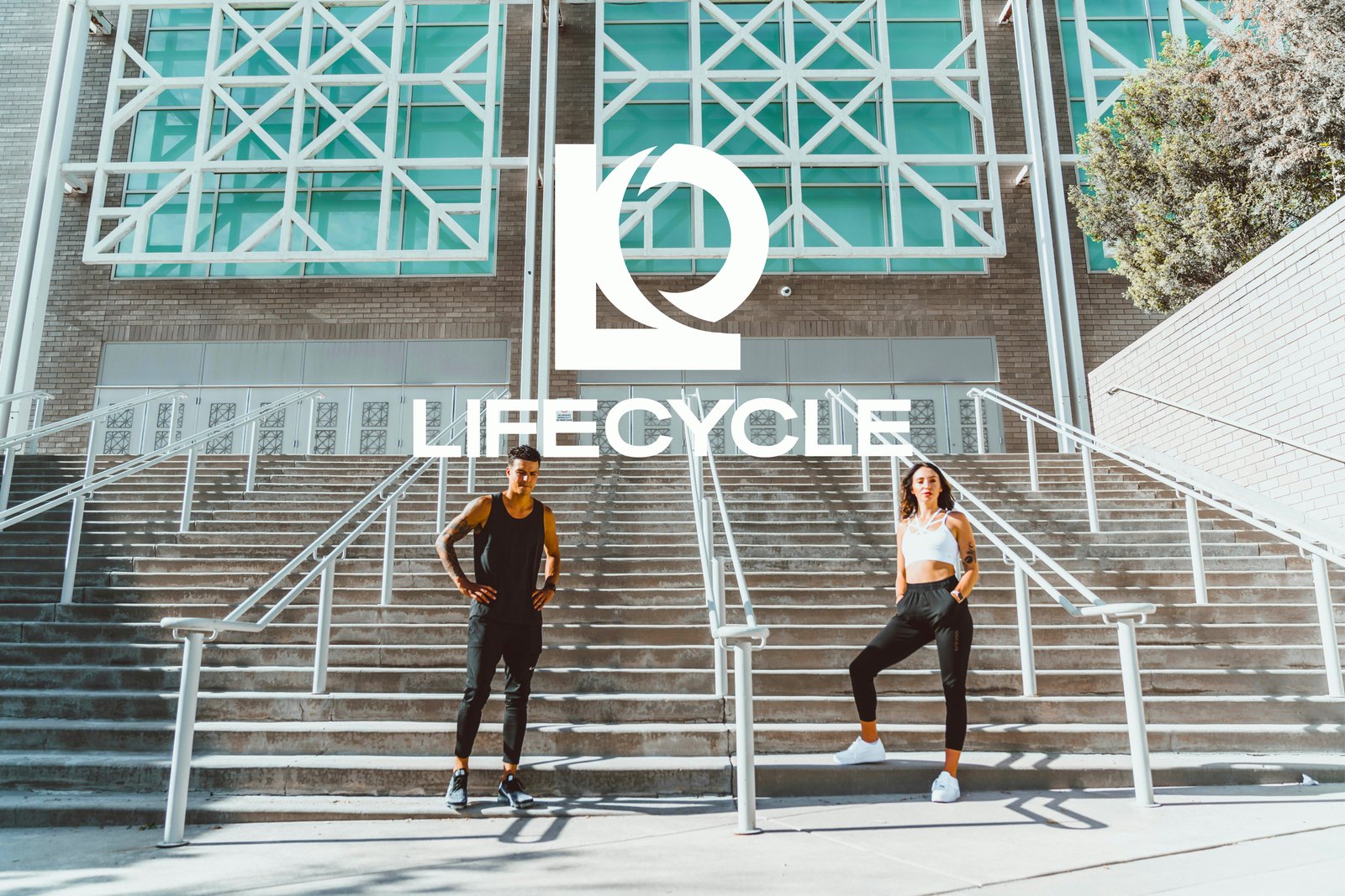 Lifecycle